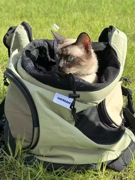 Customer photo review of Comfortable Labor-saving Front Pet Carrier