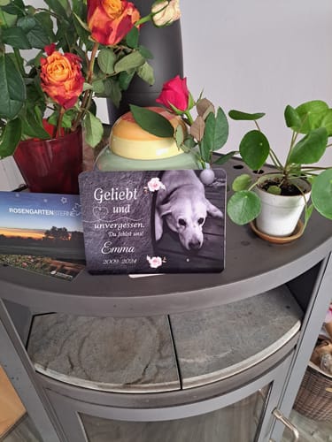 Customer photo review of Hunde Gedenktafel mit Foto & Spruch (UV- & Wetterfest)