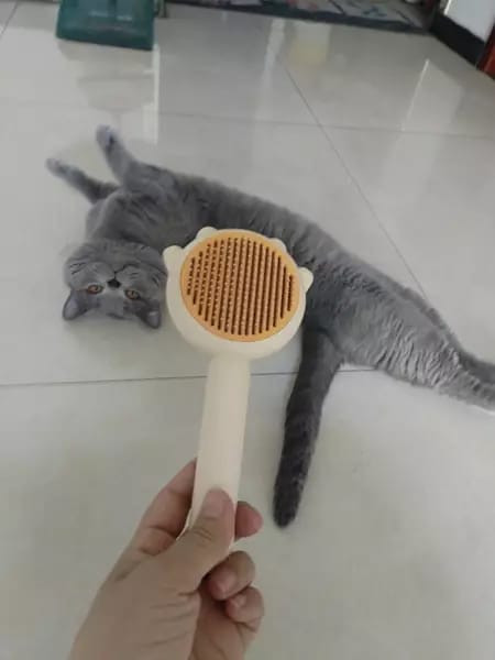 Customer photo review of Cat Grooming Brush with Release Button