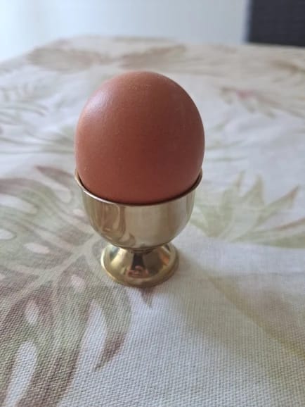 Customer photo review of Egg Holder / Set of 4