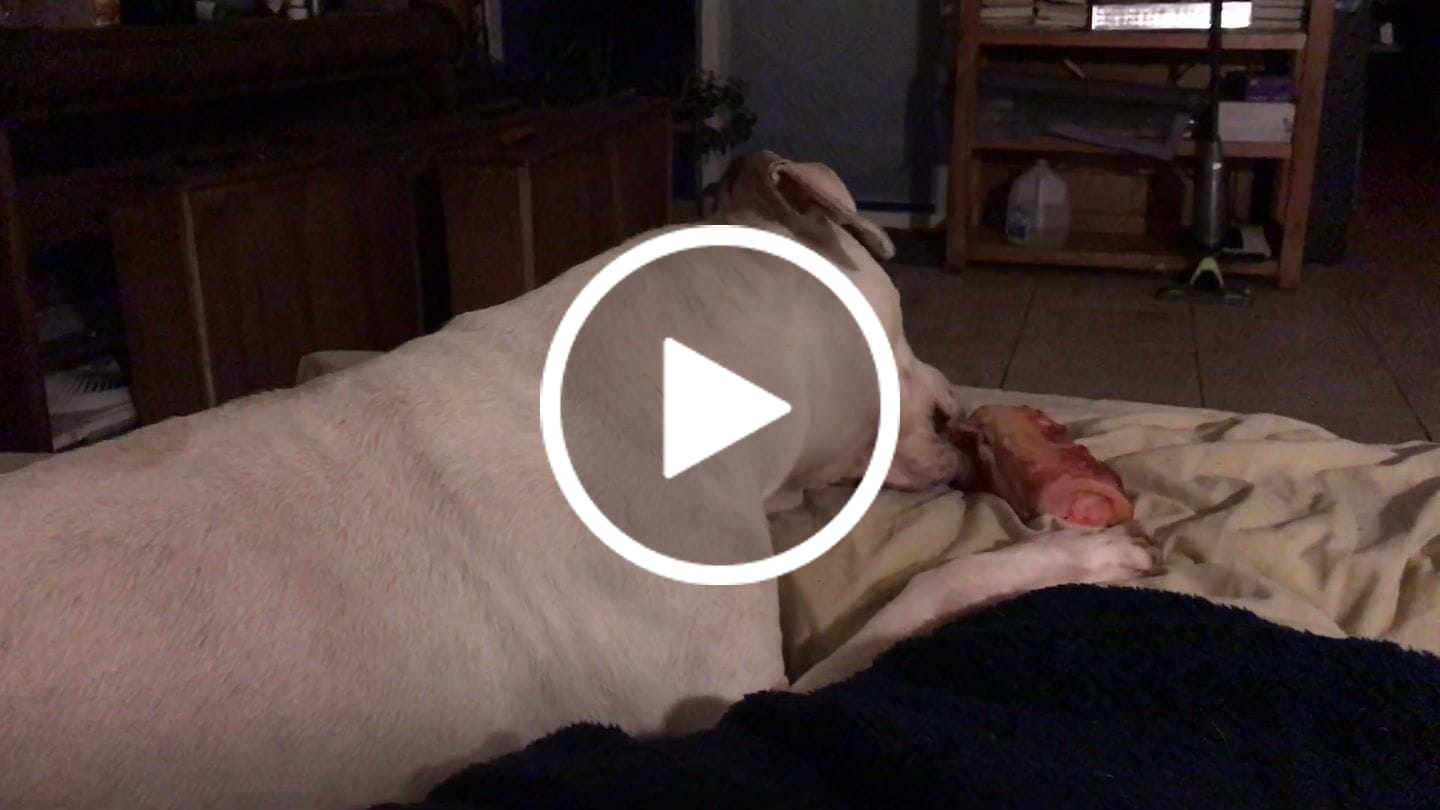 Customer video review of Maplewood Smoked Bullys