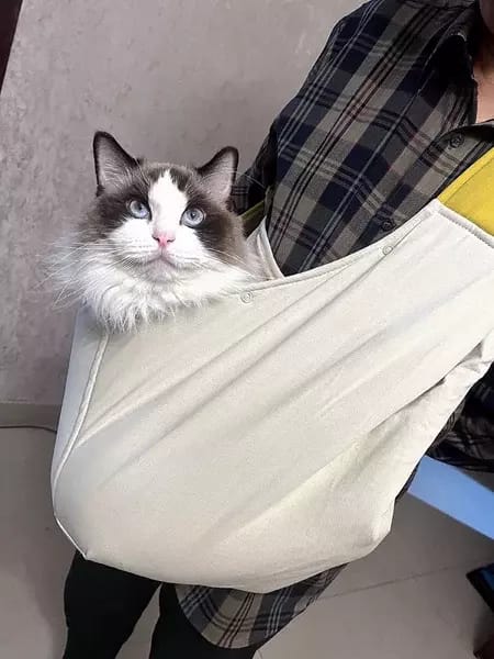 Customer photo review of Portable Pet Sling Carrier Bag With Pocket