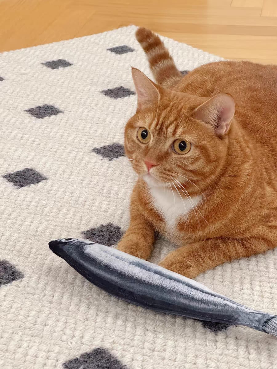 Customer photo review of 100% Natural Catnip Cat Toy