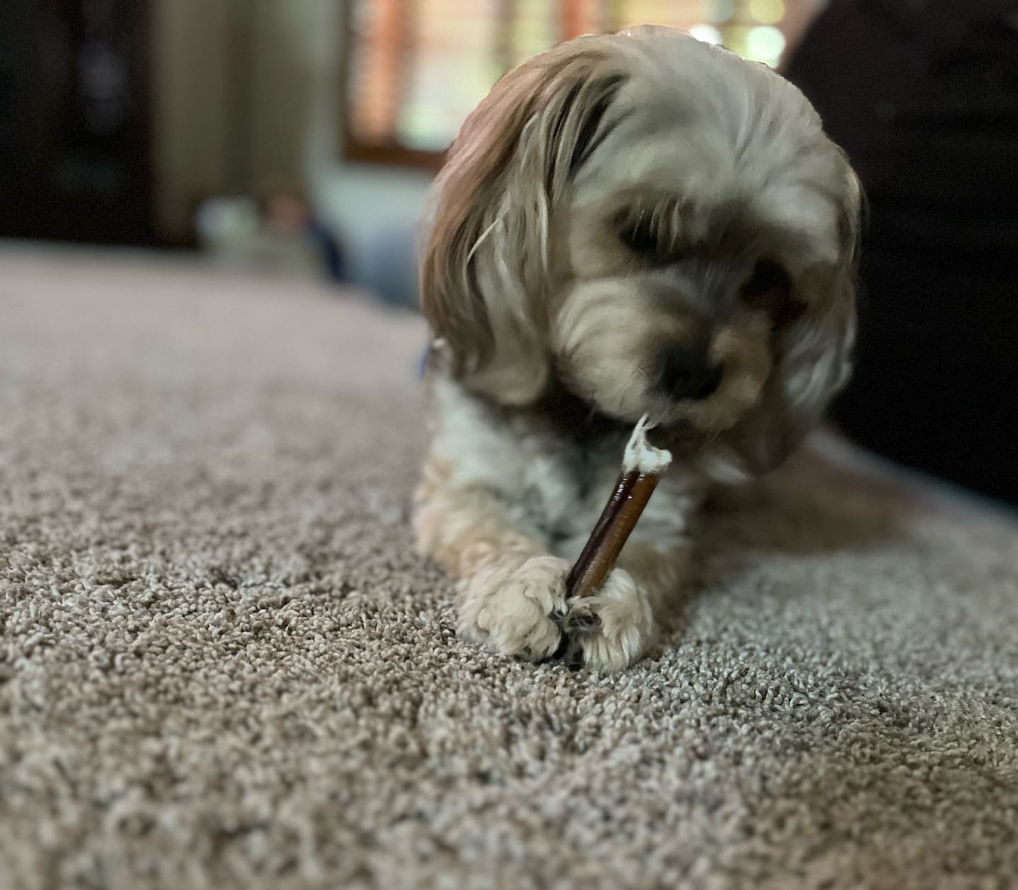 Customer photo review of Maplewood Smoked Bullys