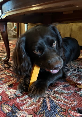 Customer photo review of MIX FLAVORED (Strawberry, Banana, Pumpkin, & Blueberry): A PACK OF 4 STICKS