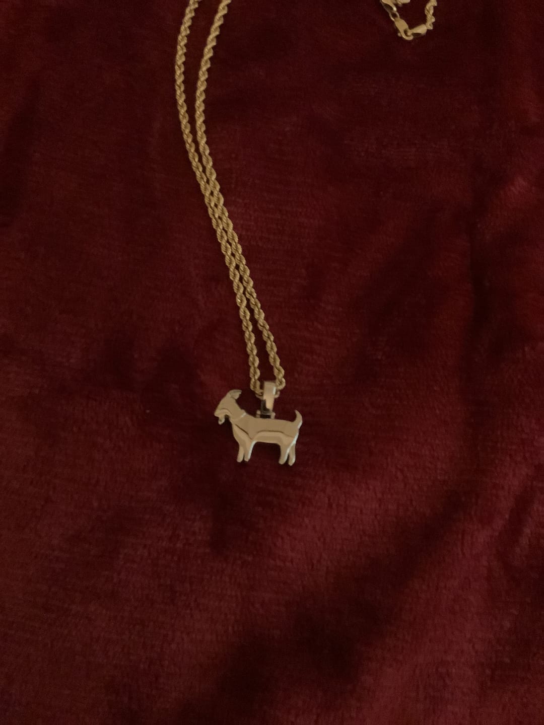 Customer photo review of GOAT
