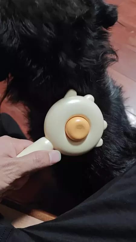 Customer photo review of Cat Grooming Brush with Release Button