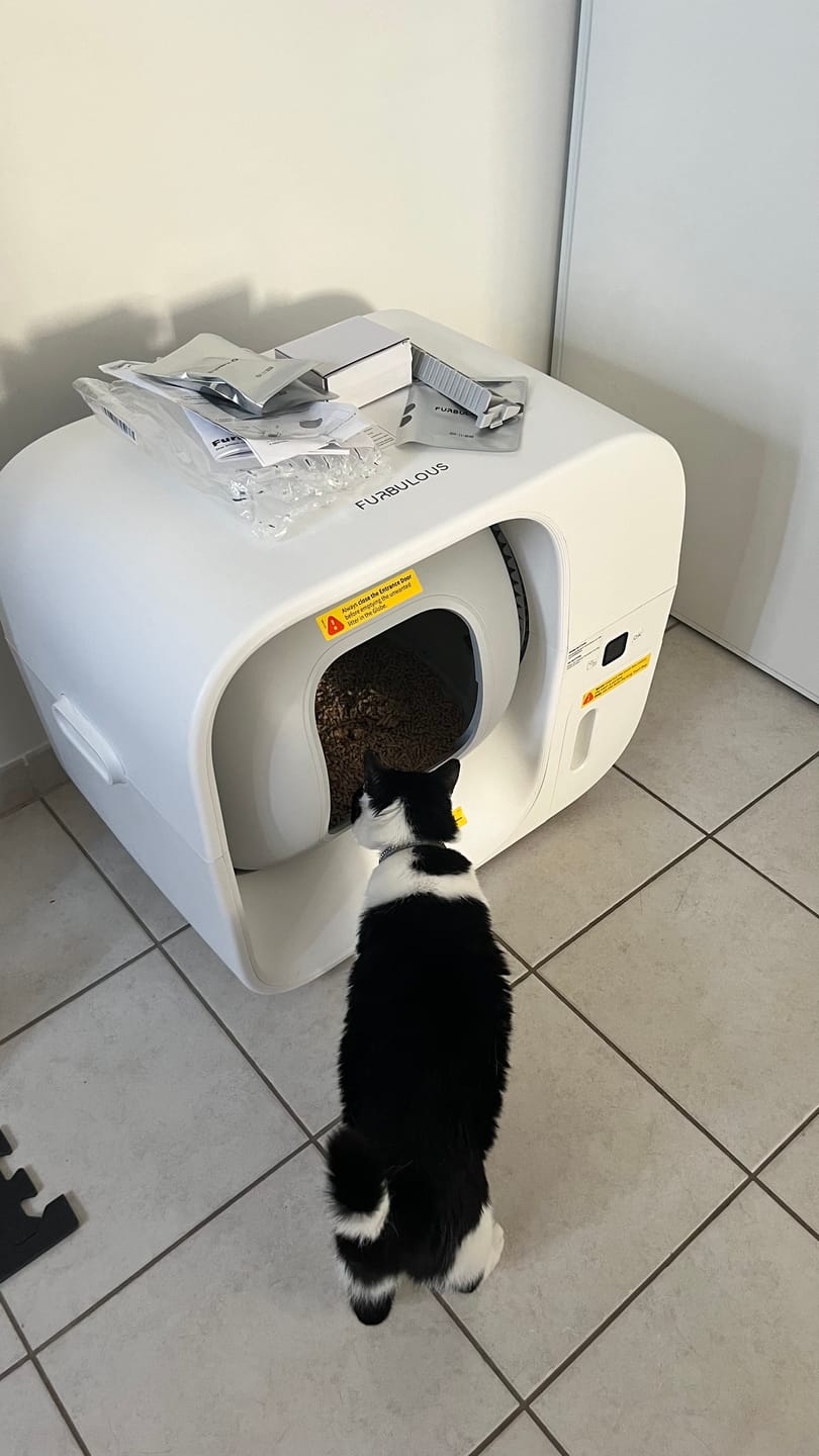Customer photo review of Furbulous Box