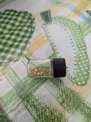 Customer photo review of *TROGO* Flawless '$5,000 GOLD NUGGET DISCOVERY' - Gold Panning Paydirt