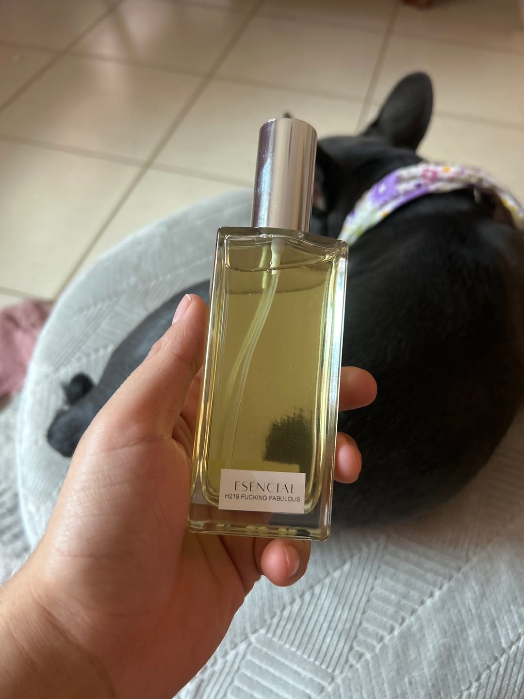 Customer photo review of H219 Inspirado en: Fucking Fabulous - Tom Ford