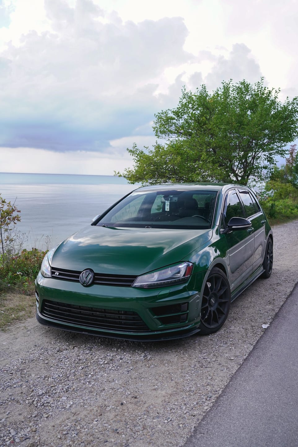 Customer photo review of High Glossy Vintage Racing Green Vinyl Wrap