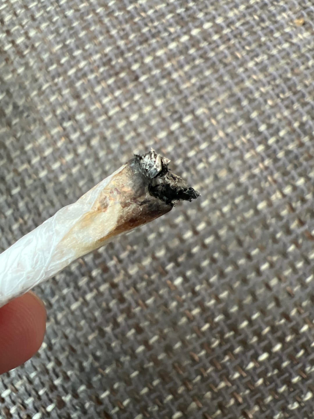 Customer photo review of LEMON COOKIES x 10% THCP