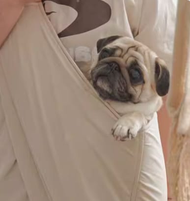 Customer photo review of Portable Pet Sling Carrier Bag With Pocket