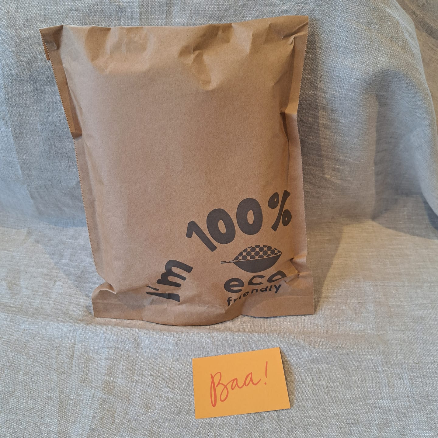 Customer photo review of FSC Certified Paper Mailing Bags