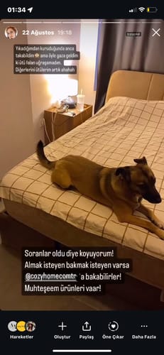 Customer photo review of Cozy Home Çift Kişilik Lastikli Çarşaflı Nevresim Takımı Kare Krem