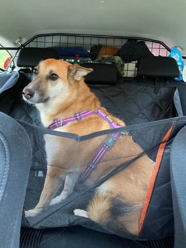 Customer photo review of Bilsätesskydd