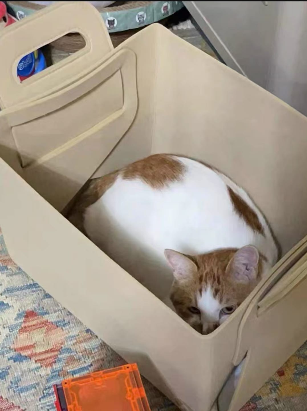 Customer photo review of Mideer Toy Storage Bag: Beige