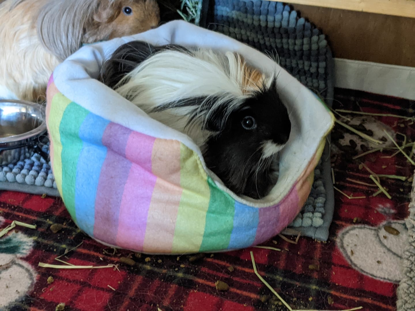 Customer photo review of Comfy Cuddle Cup | Radiant Rainbow