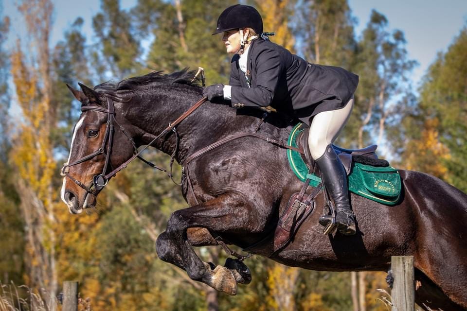 Customer photo review of Digestive RP - Sporthorse gut supplement