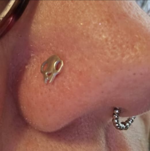 Customer photo review of Cat Skull Silhouette Nose Stud + Earring