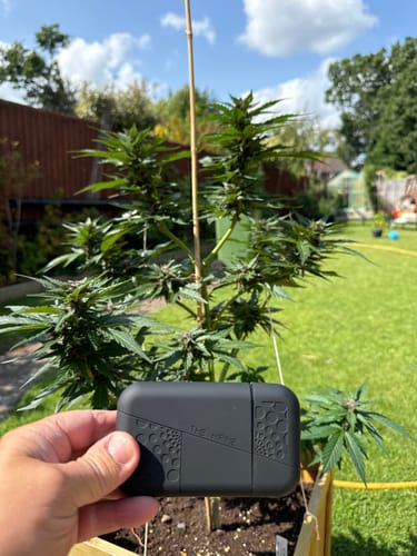 Customer photo review of Pipe X Holder Bundle