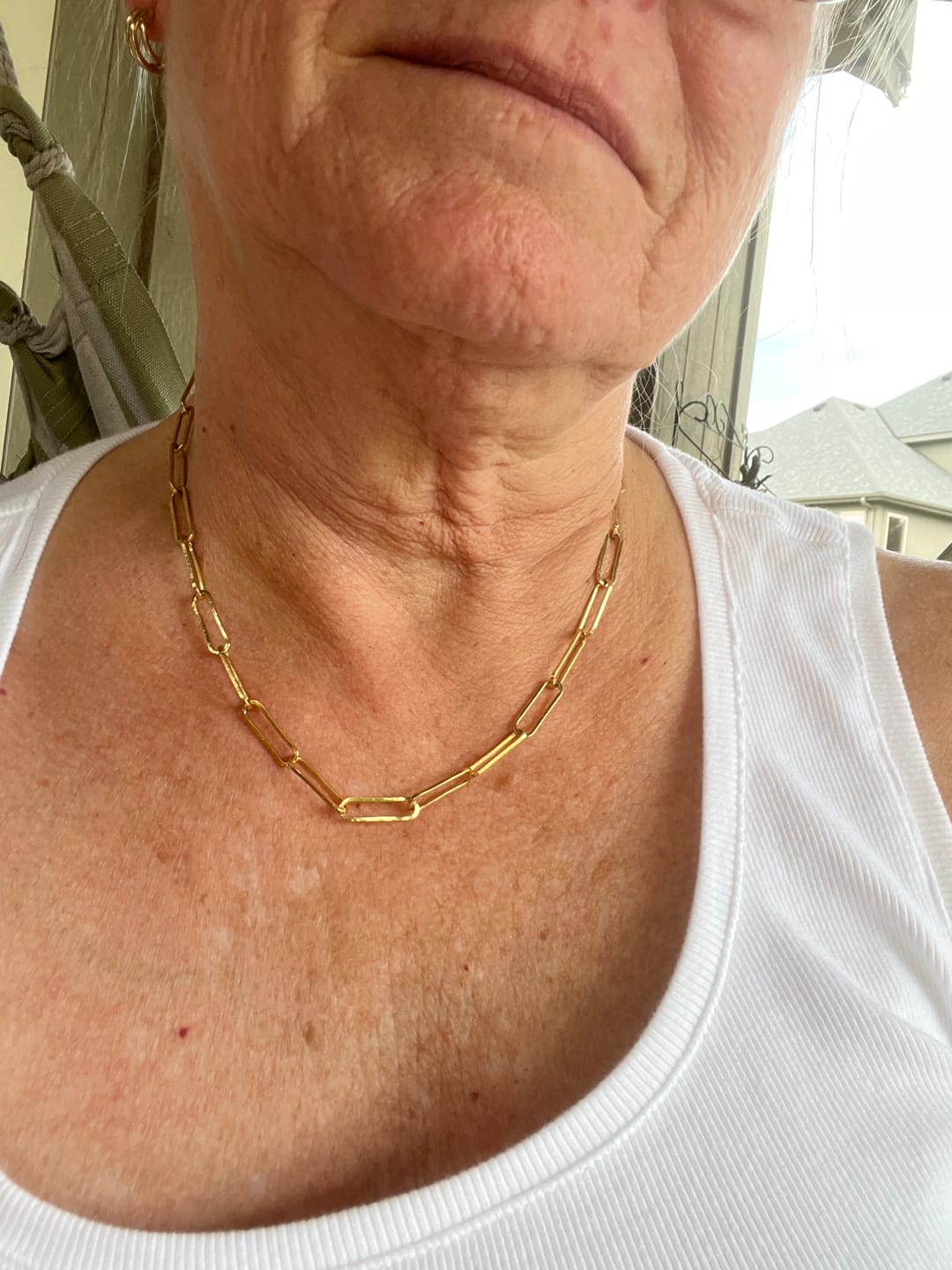 Customer photo review of Venna Gold Chain Necklace