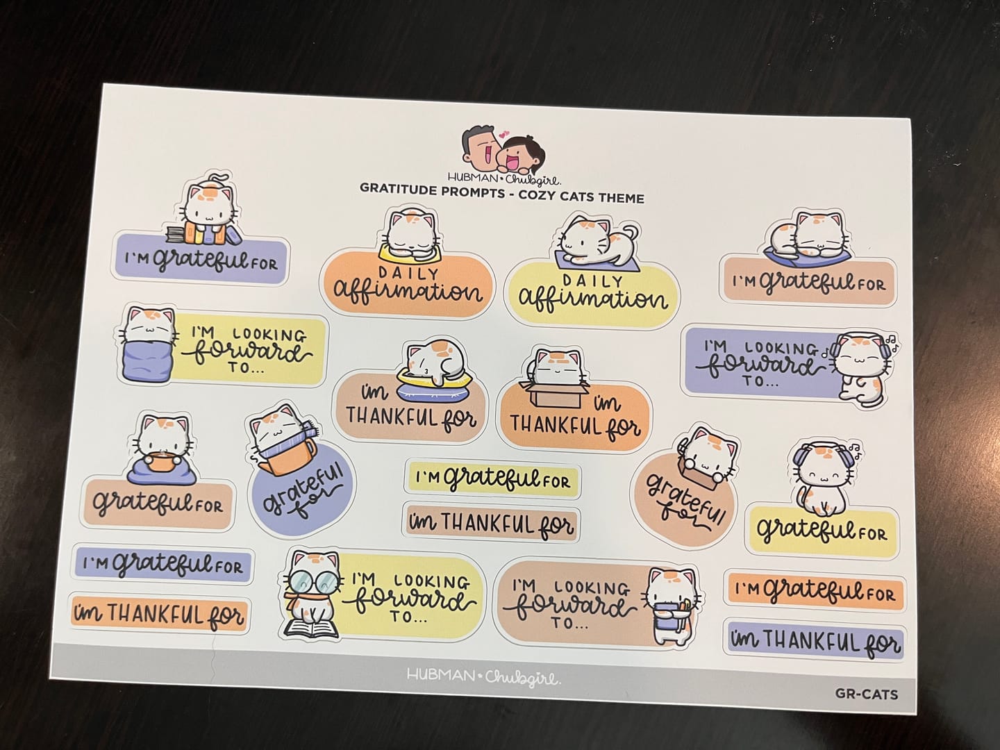 Customer photo review of Sticker Sheet - Gratitude Prompts Cozy Cat Theme