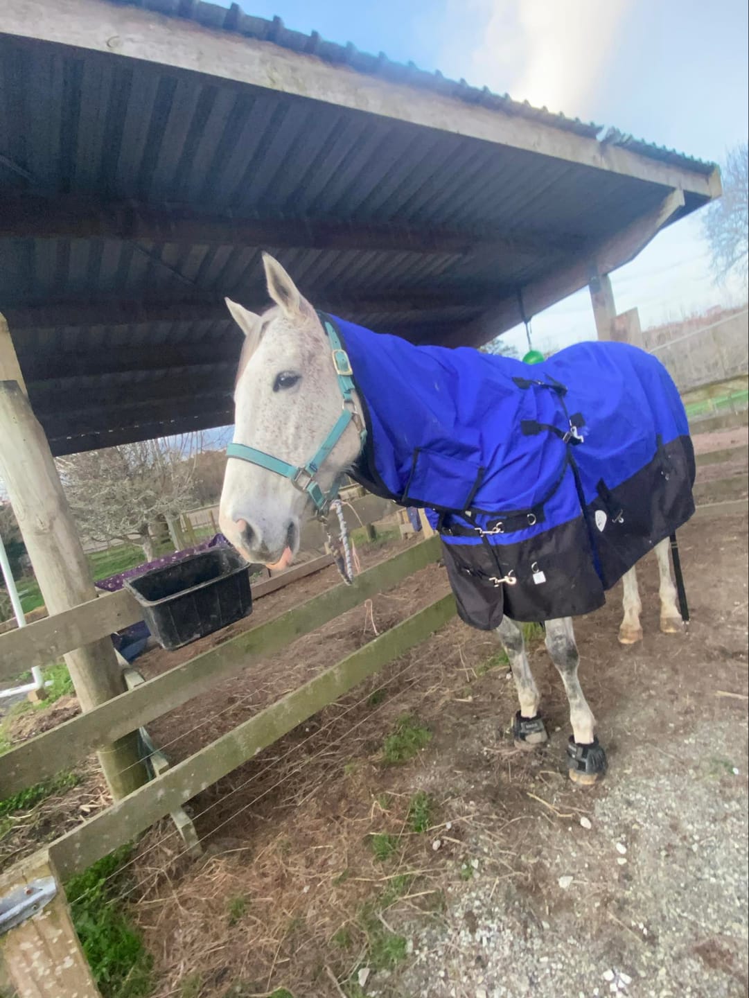 Customer photo review of Duke 1200d Detacha-neck