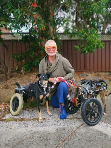 Customer photo review of 3 Pack Special - Australia's Best Natural Meal Topper + Scoop