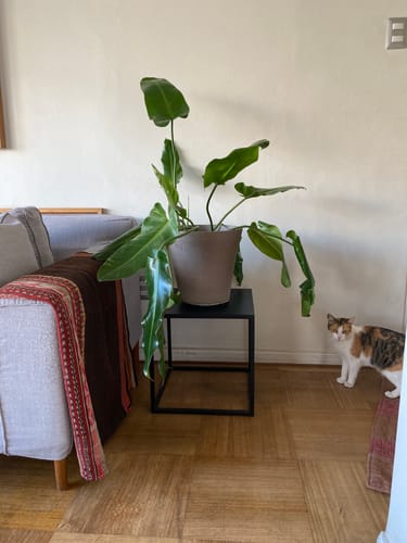 Customer photo review of Mesa Lateral Cubo 40 Metal