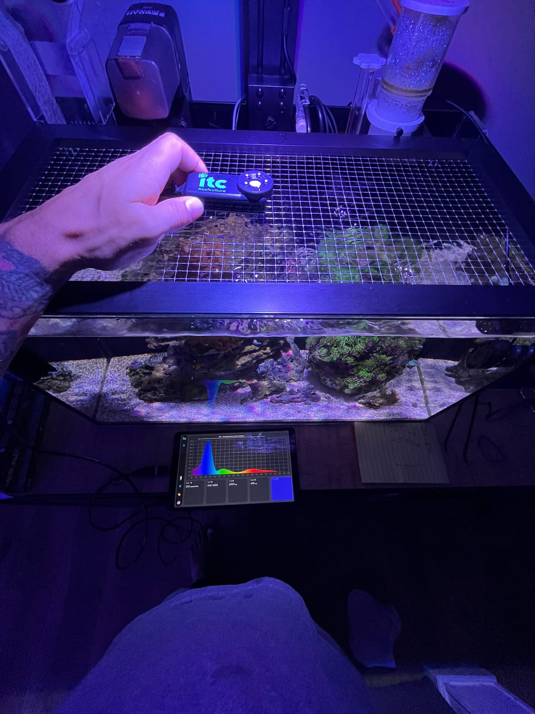 Customer photo review of Pixel LED Bundle