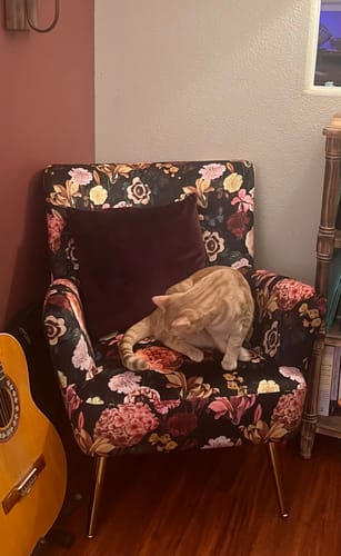 Customer photo review of Holland Red Floral Velvet Accent Chair