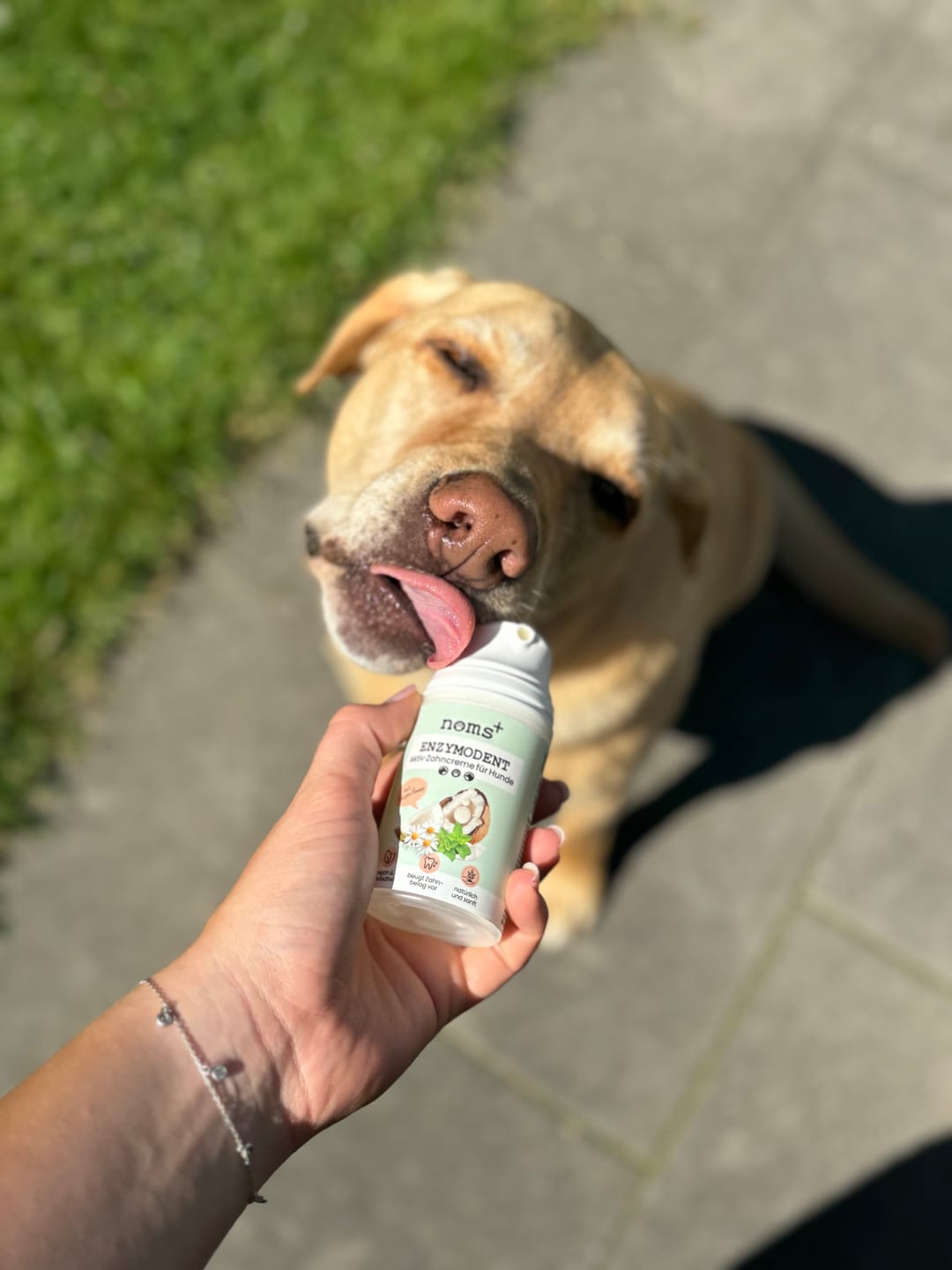 Customer photo review of Enzymodent: Enzymatische Zahnpasta für Hunde mit natürlicher Pflege- und Präventionsformel