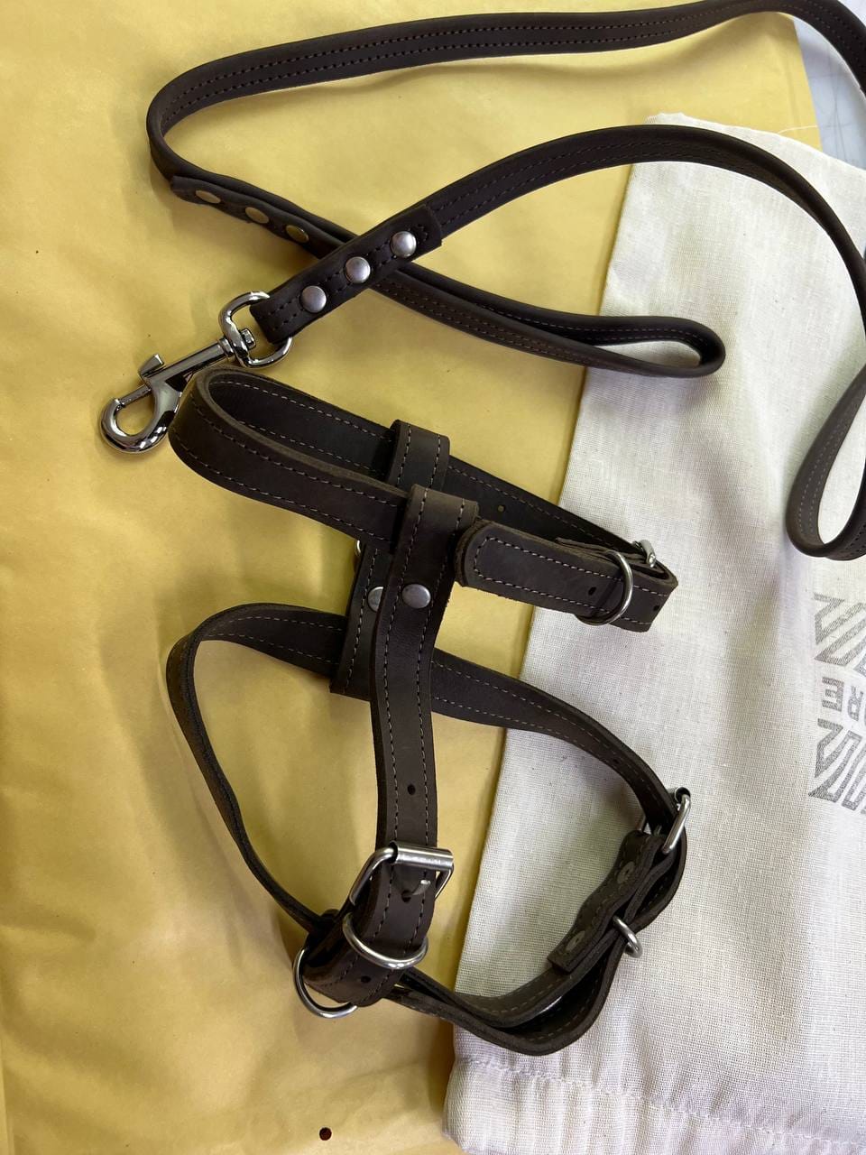 Customer photo review of Dog Harness with Leash