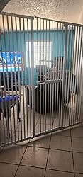 Customer photo review of FairyBaby 72" Tall Cat Gate with Narrow Bar Spacing