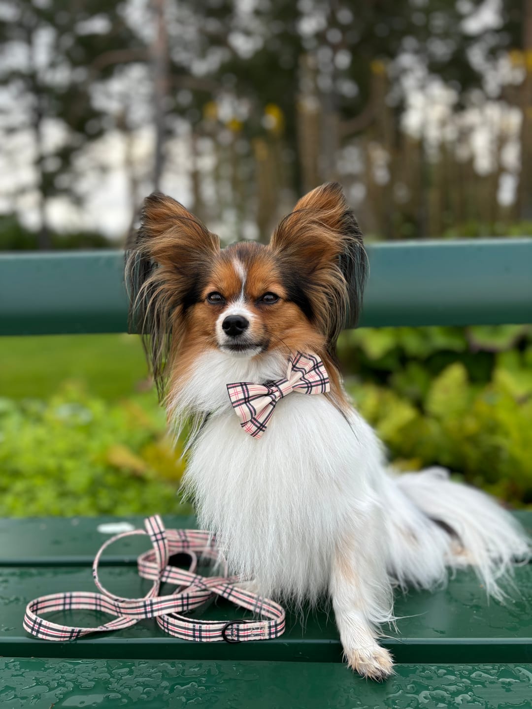 Customer photo review of Koppel - Furburry
