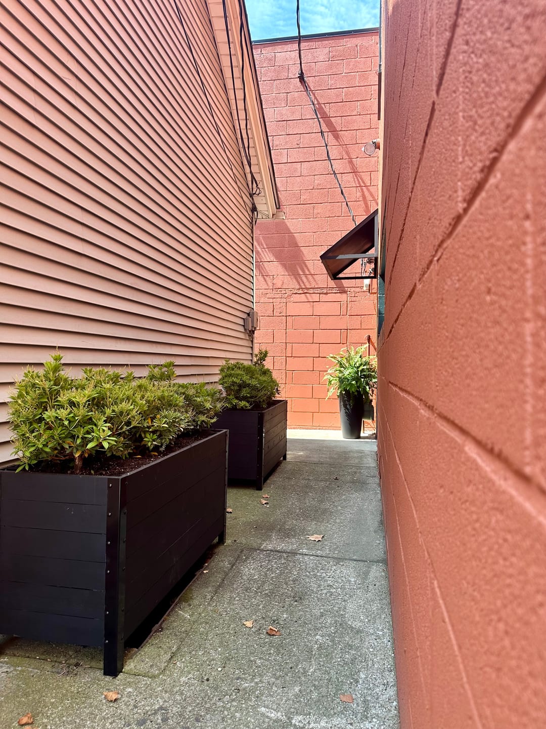 Customer photo review of 18" x 48" Planter Box - 24" Tall