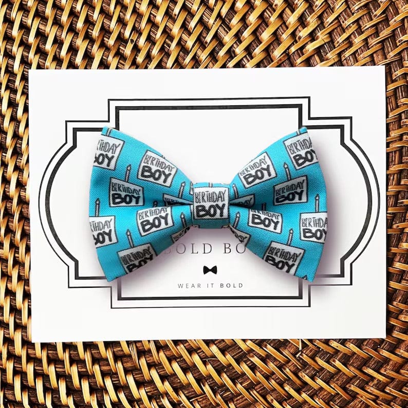 Customer photo review of Birthday Boy Bow Tie for Dog Collar or Cat Collar