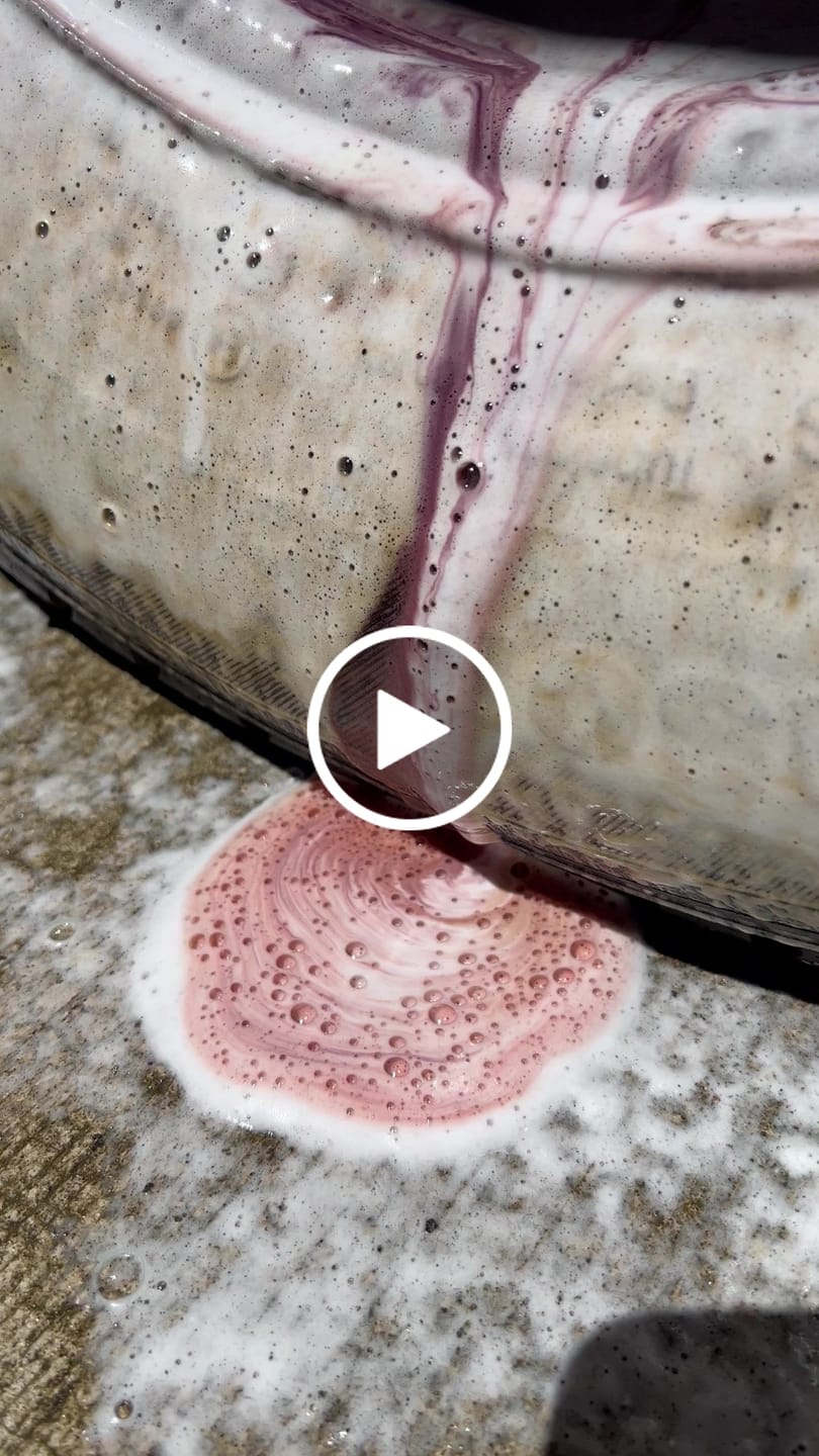 Customer video review of Cool Guy - Gallon