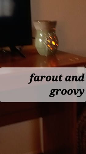 Customer photo review of Far Out & Groovy Grubby Wax Melts- You Pick Size & Strength