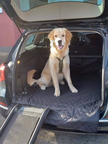 Customer photo review of Hunde Sitzunterlage für SUV Fahrzeuge
