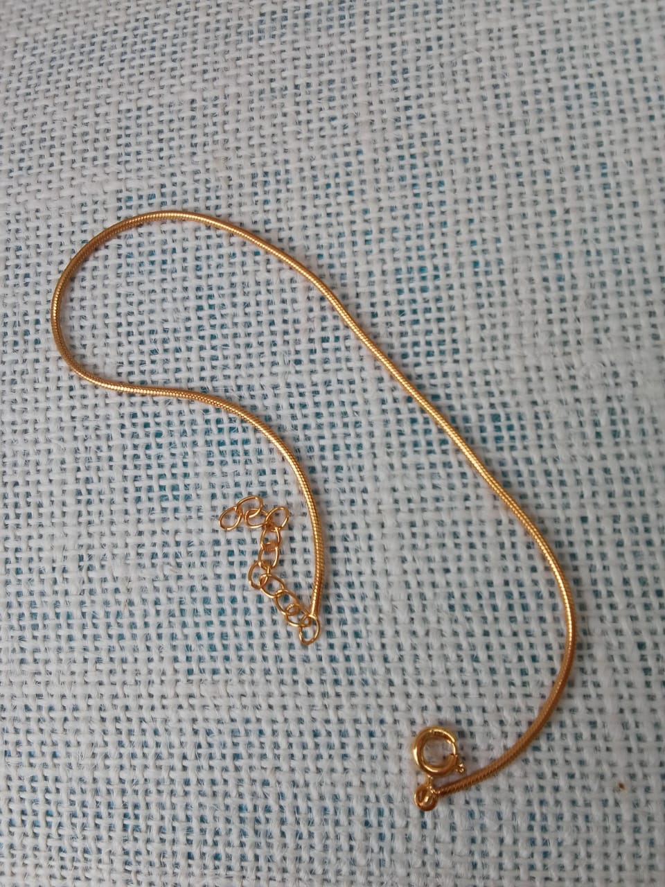 Customer photo review of Snake Chain Anklet