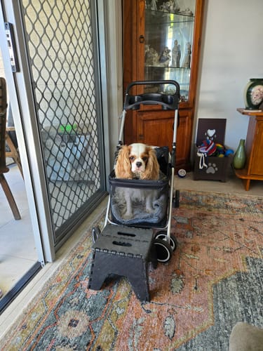 Customer photo review of Pawz Compact & Comfortable Pet Stroller