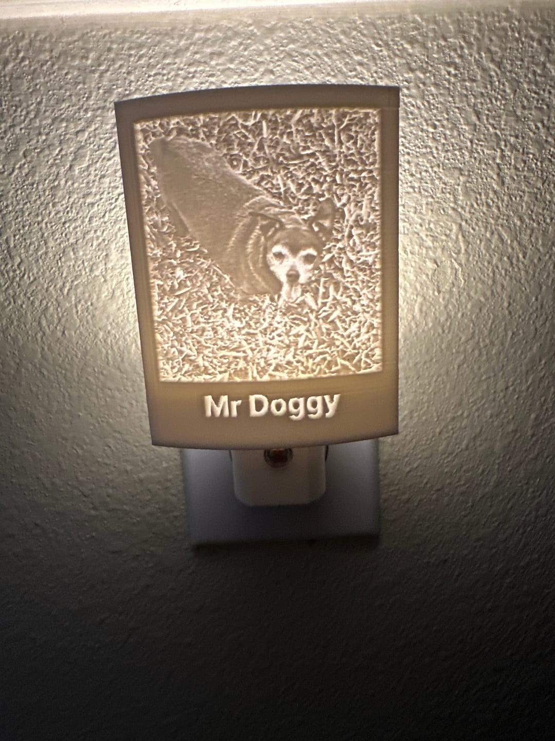 Customer photo review of Memory Frame™ Personalized Night Light