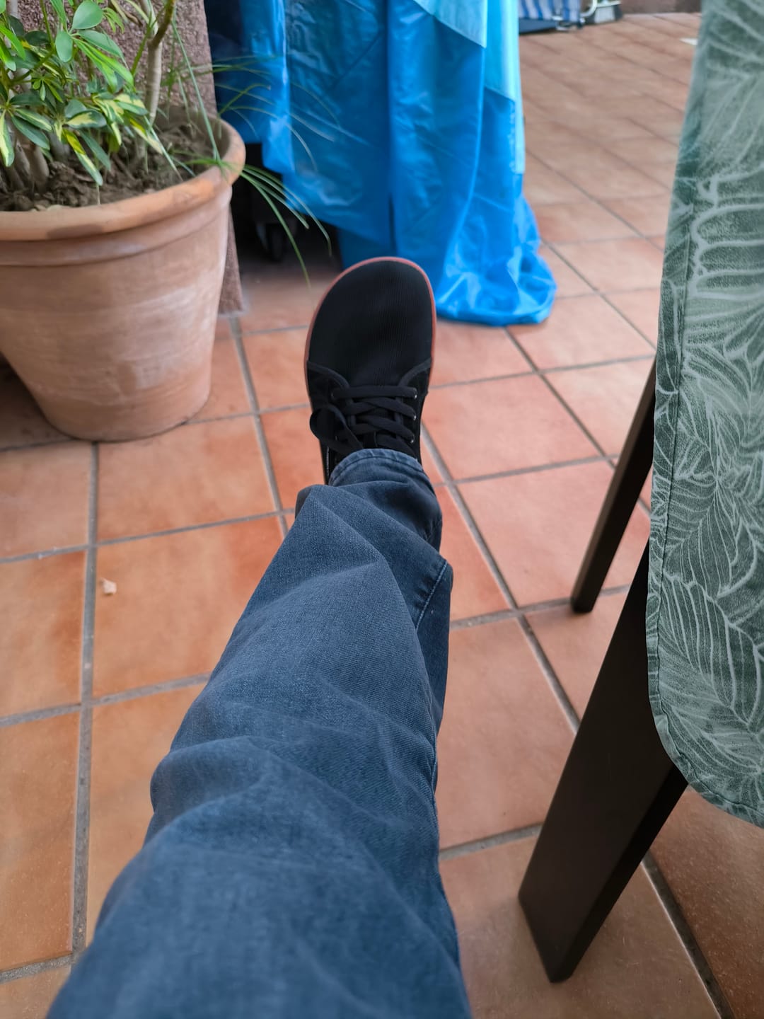 Customer photo review of Bugle - Barefoot De Ocio