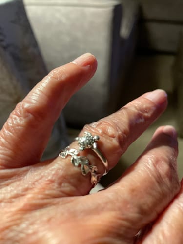 Customer photo review of Sterling Silver Turtle Honu Ring