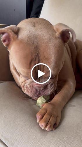 Customer video review of Yaki - Tyggeben med Mint