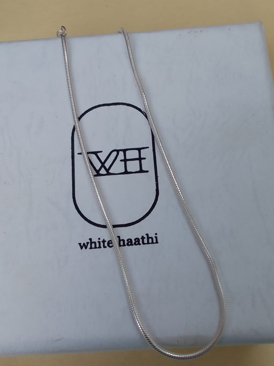 Customer photo review of Snake Chain Anklet
