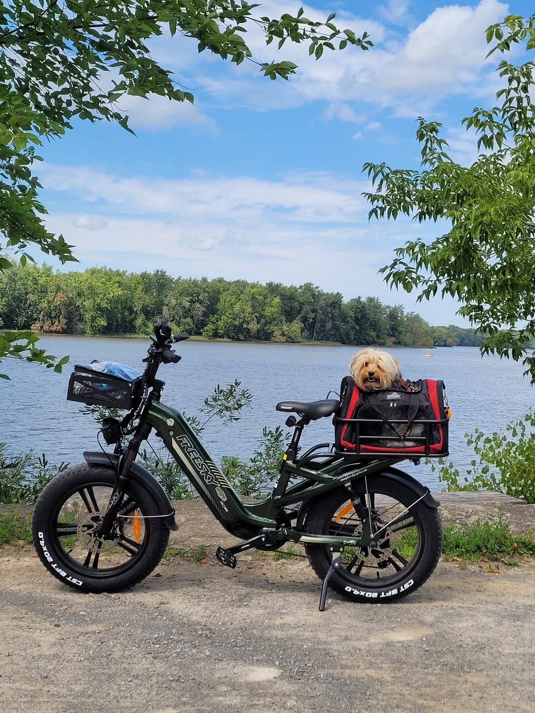 Customer photo review of Rear Basket