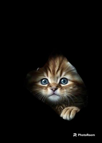 Customer photo review of Fast Dry Eco Solvent Colorful Ink Cartridge (2588+M)